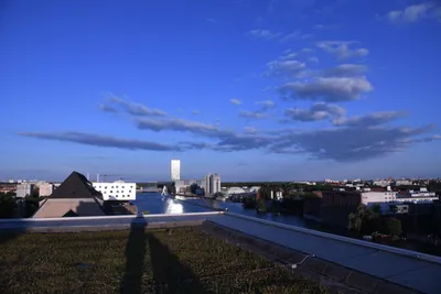 DSC_1775 (Large).JPG